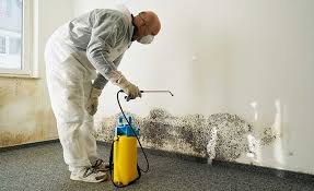 Best Asbestos and Lead Testing During Mold Inspection  in Kirby, TX