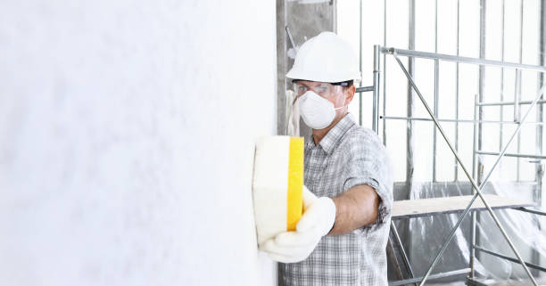 Trusted Kirby, TX Mold Removal Services Experts