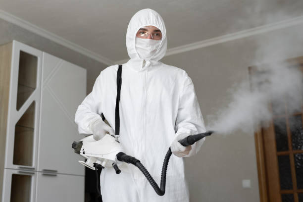 Best Mold Removal for HVAC Installations  in Kirby, TX